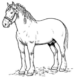 dibujos de caballos para colorear