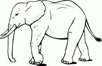 dibujos de elefante para colorear