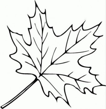 dibujos de hojas para colorear