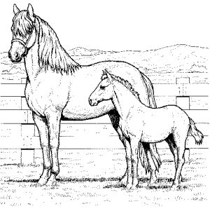 imagenes para colorear de caballos